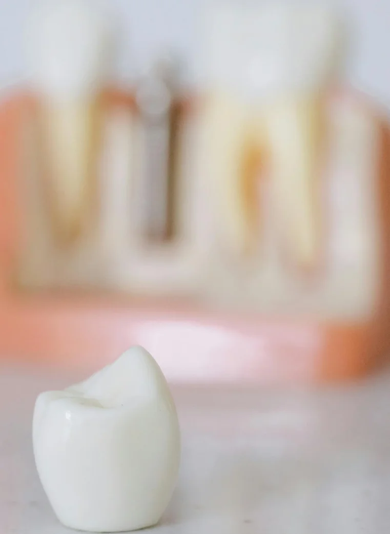 Tooth in Blurred Background